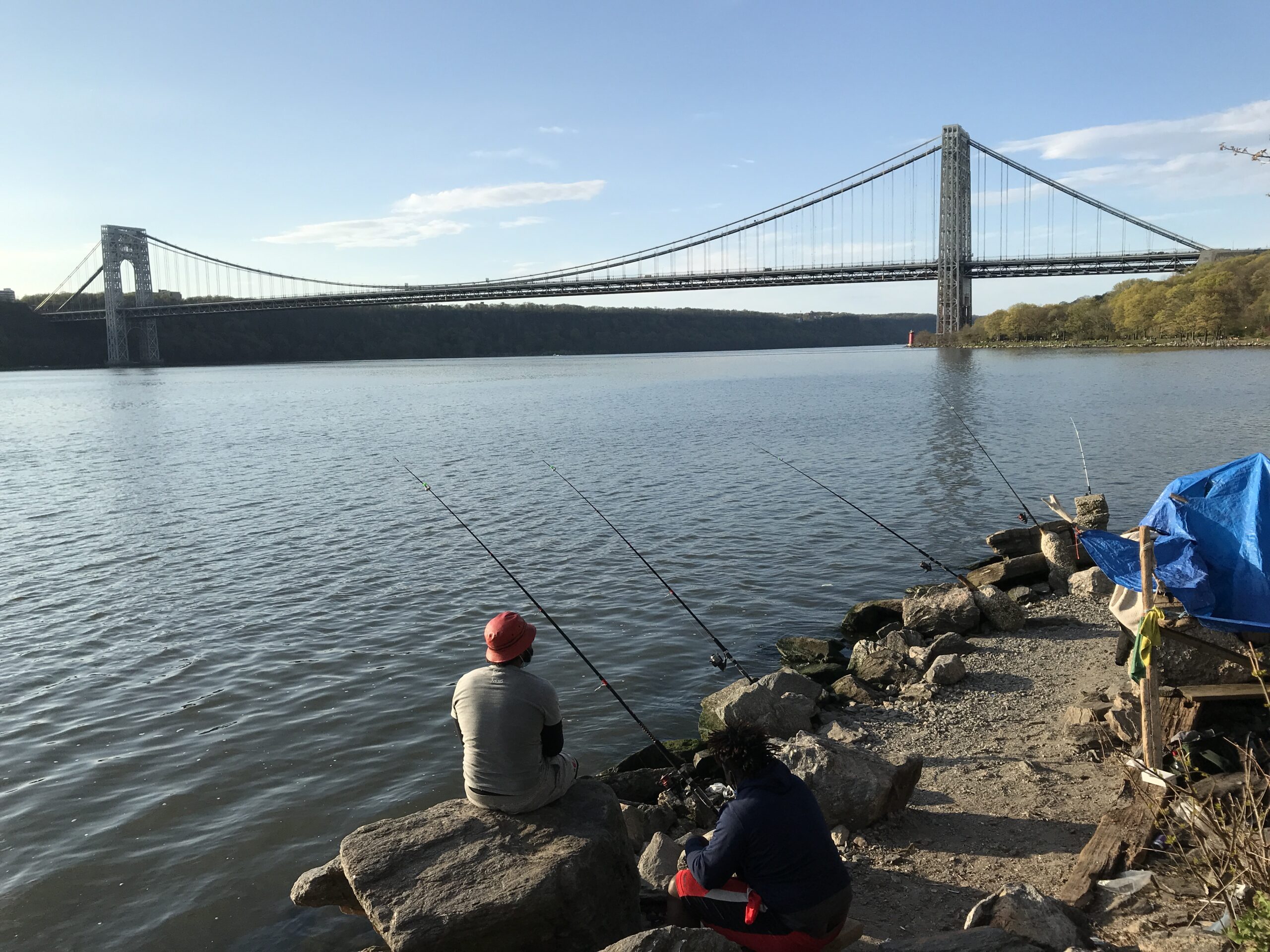 Desert Stop Nevada 2015